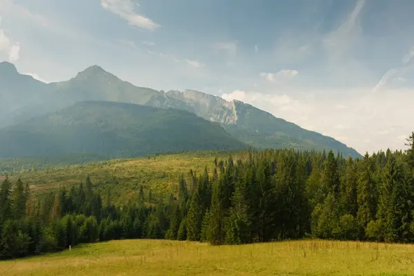 Sicht auf die Berge und den Wald. Hohe Tatra, Slowakei — Stockfoto