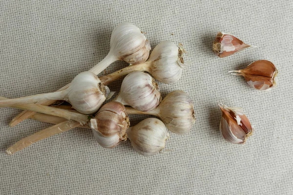 Heads Garlic Fabric Background Background — Stock Photo, Image