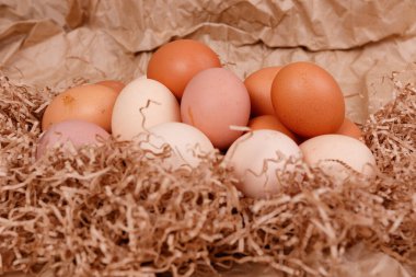 Sarı, bej ve beyaz tavuk yumurtaları. Kraft kağıt arkaplanı.