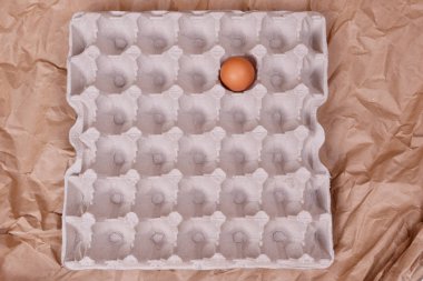 Kağıt bir kapta bej tavuk yumurtası.