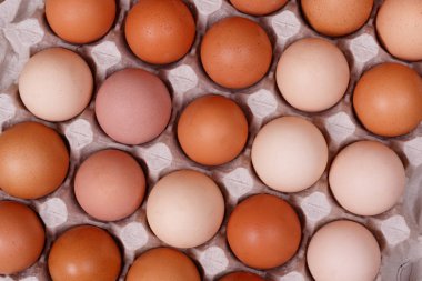 Kağıt bir kabın içinde sarı, bej ve beyaz tavuk yumurtaları. Kraft kağıt arkaplanı.