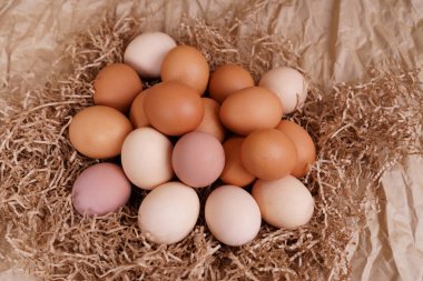 Sarı, bej ve beyaz tavuk yumurtaları. Kraft kağıt arkaplanı.