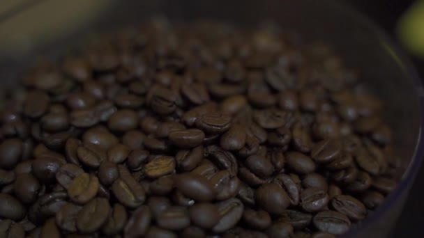 Kahve Öğütücüsünde Kahve Çekirdekleri — Stok video