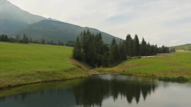 Berg Weidse Vergezichten Hoge Tatra Slowakije — Stockvideo