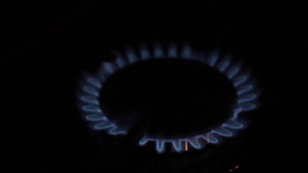 Burning Burner Gas Stove Close View — Stock Video