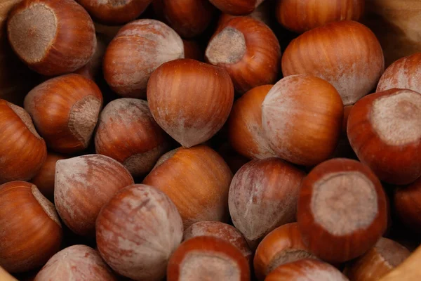 Hazelnuts Close View — Stock Photo, Image