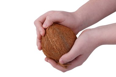 Bir insanın elinde hindistan cevizi. Yakın plan. Yukarıdan bak. İzole et