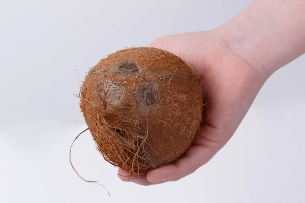 Noix Coco Dans Les Mains Une Personne Gros Plan Vue — Photo