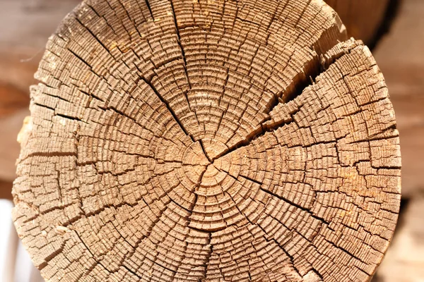 Wood Texture Close Macro Shot — Stock Photo, Image