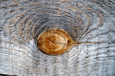 Eski gri ahşap bir tahtanın dokusu. Makro çekim.