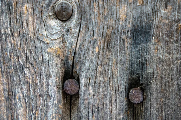 Texture Old Gray Wooden Board Nails Macro Shot — Stock Photo, Image