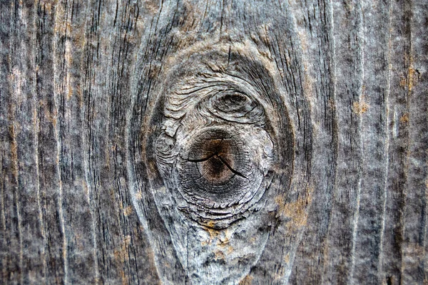 一块灰色的旧木板的质地 宏观射门 — 图库照片