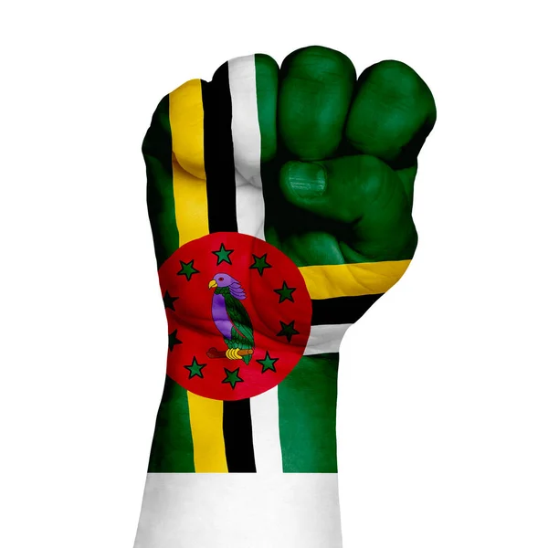 Low Key Picture Fist Painted Colors Dominica Republic Flag Image — Stock Photo, Image