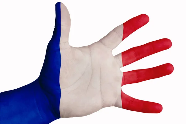 Palme Ouverte Avec Image Drapeau France Concept Polyvalent Image Sur — Photo