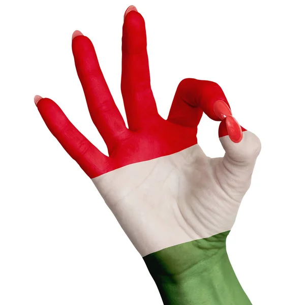 Magyarország Nemzeti Zászlaját Női Kézre Festették Amelyen Jel Látható Kép — Stock Fotó