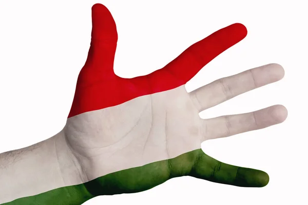 Open Palm Met Afbeelding Van Vlag Van Hongarije Multifunctioneel Concept — Stockfoto