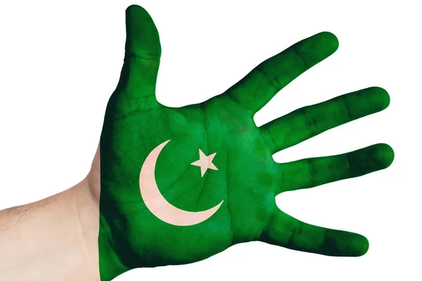 Offene Palme Mit Dem Bild Der Flagge Pakistans Mehrzweckkonzept Bild — Stockfoto