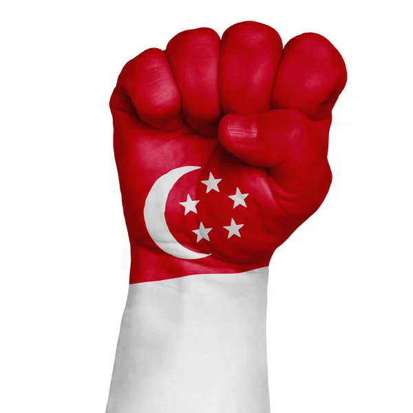 Low Key Picture Fist Painted Colors Singapore Flag Image White — Stock Photo, Image