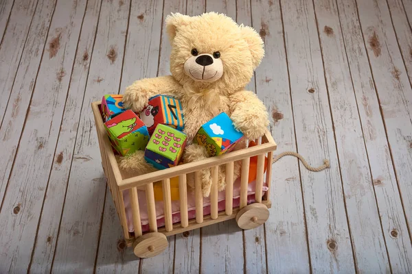 Teddy plays in the cart — Stock Photo, Image
