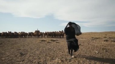 beautiful woman national black clothes,abaya walks steppe camels,desert