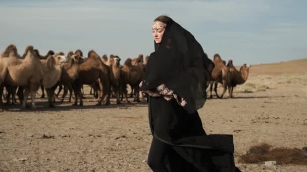 Beautiful woman national black clothes,abaya walks steppe camels,desert — 图库视频影像