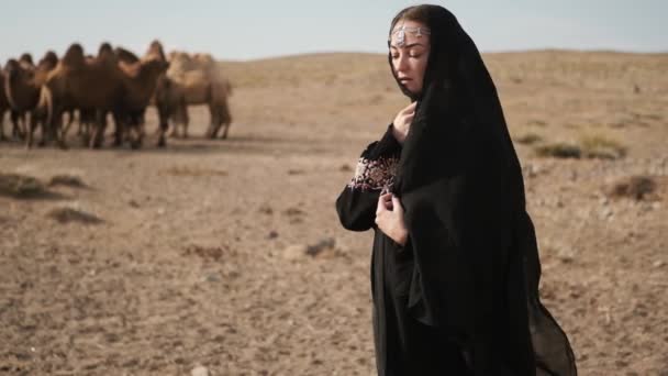 Belle femme nationale vêtements noirs, abaya promenades steppe chameaux, désert, lent — Video