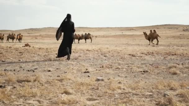 Όμορφη γυναίκα εθνικό μαύρα ρούχα, abaya, βόλτες καμήλες στέπα, έρημος, αργά — Αρχείο Βίντεο