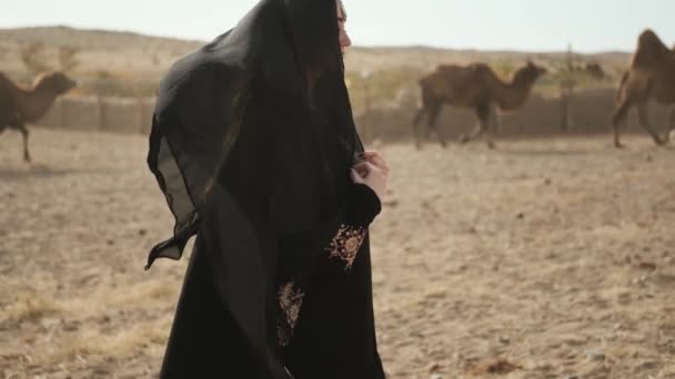 Hermosa mujer nacional ropa negra, abaya, camellos camellos de la estepa, desierto, lentamente — Vídeo de stock