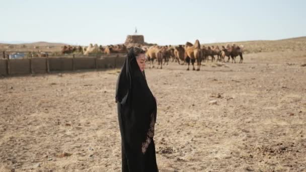 Güzel kadın ulusal siyah kıyafetler, abaya, bozkır develeri, çöl, yavaşça yürüyor. — Stok video