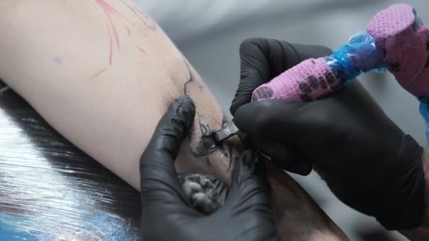 Tatuaje estudio, chico consigue tatuaje de color en su brazo, su sangrado — Vídeo de stock