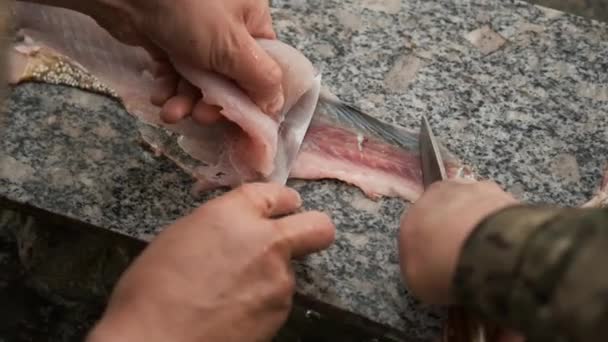 Самец рыбака режет большую рыбу, на камне ножом, возле воды — стоковое видео