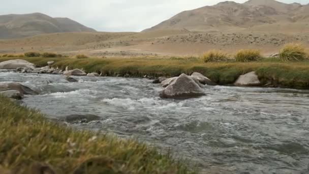 Snelle lawaaierige rivier tussen bergen en steppen van Mongolië, Altai natuur — Stockvideo