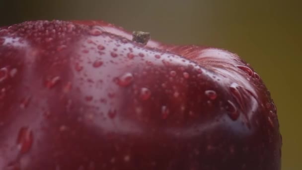 Roter Apfel Makro-Shooting, isolierte Hälfte Apfel auf gelbem Hintergrund dreht sich — Stockvideo