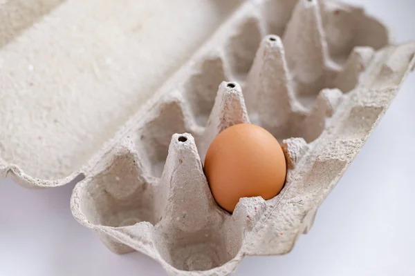 盘子里一只鸡褐色的蛋 — 图库照片