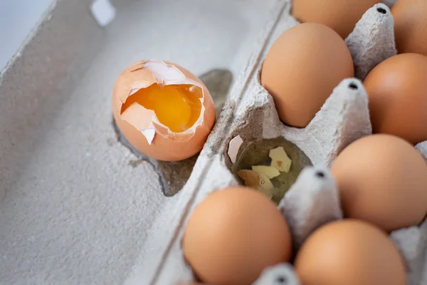 一只鸡蛋在盘子里 一只鸡蛋坏了 关上了 — 图库照片