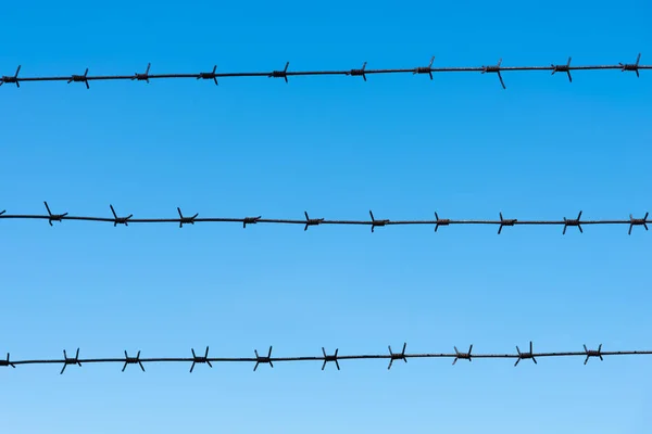 Barbed Wire Blue Sky Concept Restricted Area Restrictions Freedom — ストック写真