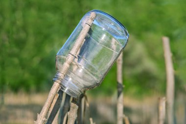 Tahta bir çitin üzerindeki cam kavanoz.