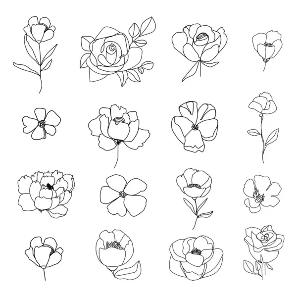 Set Van Lineaire Verschillende Bloemen Bloemen Plantkunde Collectie Zwart Wit — Stockvector