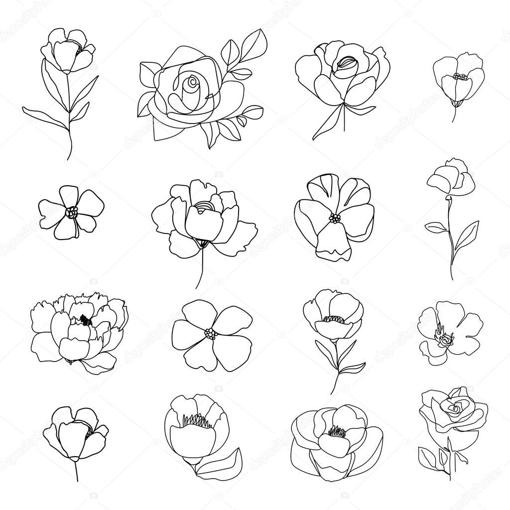 Set of linear various flower. Floral botany collection. Black and white art. Decorative elegant illustration for branding identity. Vector illustration.