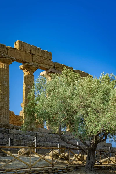 Agrigento tapınaklarda Vadisi — Stok fotoğraf