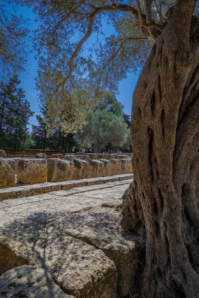 Agrigento tapınaklarda Vadisi