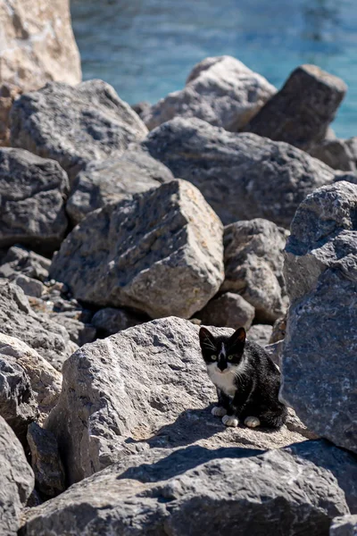 San Vito Lo Capo İtalya 'da (Sicilya)
