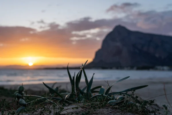 Matahari Terbit San Vito Capo Italy Siciliy — Stok Foto