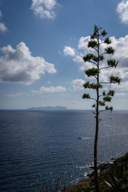 Marettimo İtalya (Sicilya) adasındaki muhteşem yürüyüş parkurlarından biri.)