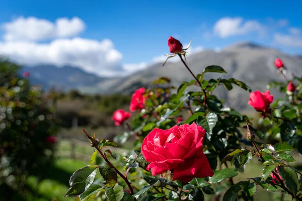 Madonie Parkı Collesano İtalya (Sicilya)
