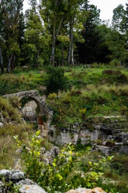 Syracuse İtalya 'daki Arkeoloji Parkı (Sicilya)