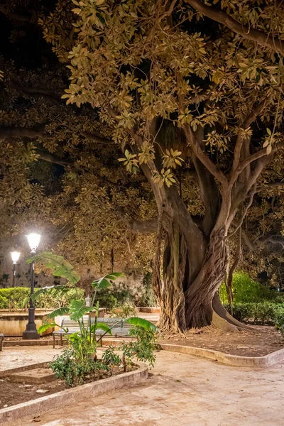 Natureza Siracusa Itália Sicília — Fotografia de Stock