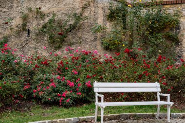 Prag, Çek Cumhuriyeti 'nin 2019 yılı manzarası