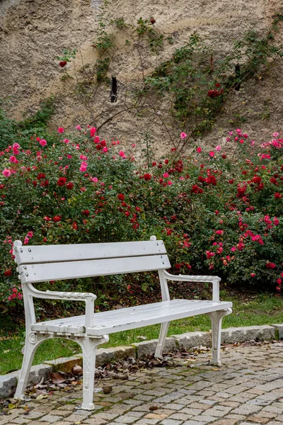 Prag, Çek Cumhuriyeti 'nin 2019 yılı manzarası