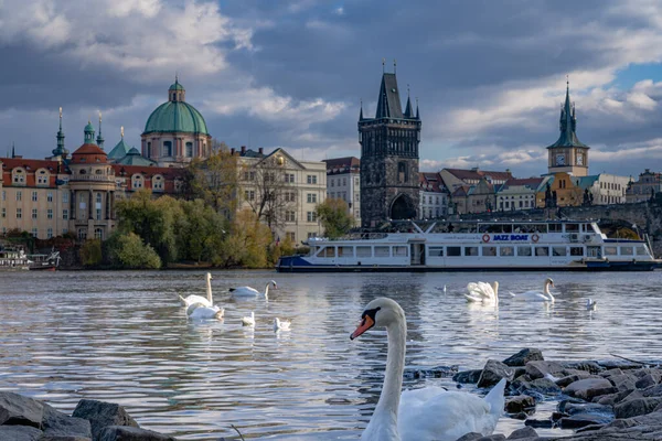 Utsikt Över Prag Tjeckien 2019 — Stockfoto